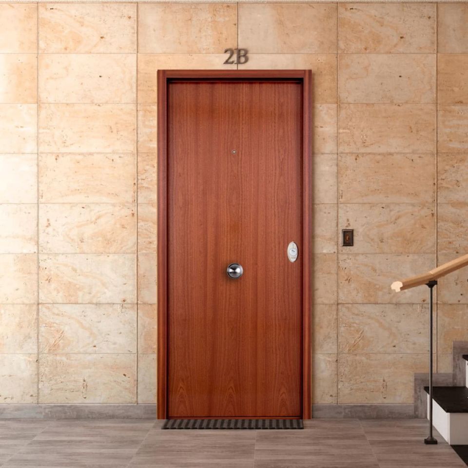 puerta acorazada sapelly